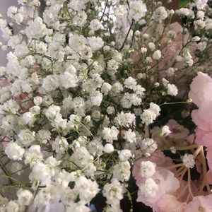 Meet your Posher, Intesar